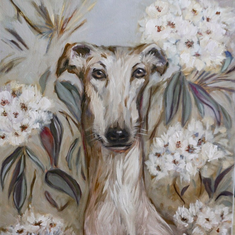 Galgo - DISPONIBLE